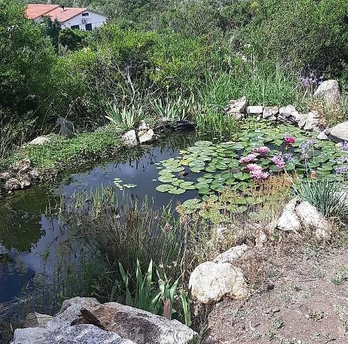 Apartment Casa Paradise 2