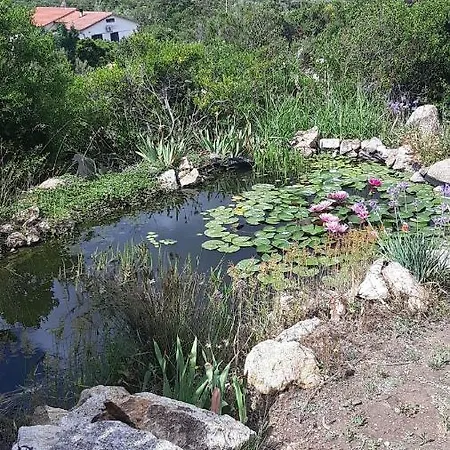 דירה Casa Paradise 2